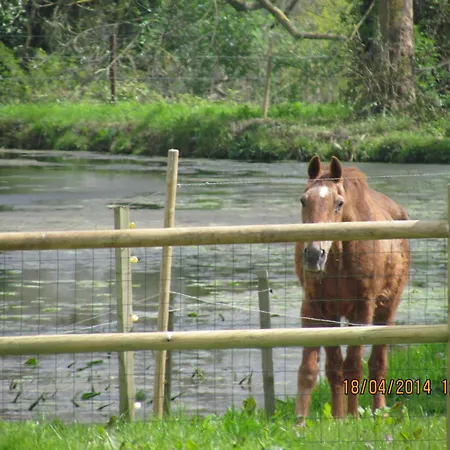 Prázdninový dům L'orangerie Du Grand Jardin *