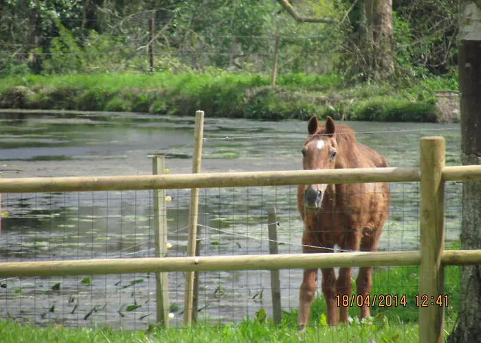 Tatil Evi L'orangerie Du Grand Jardin *